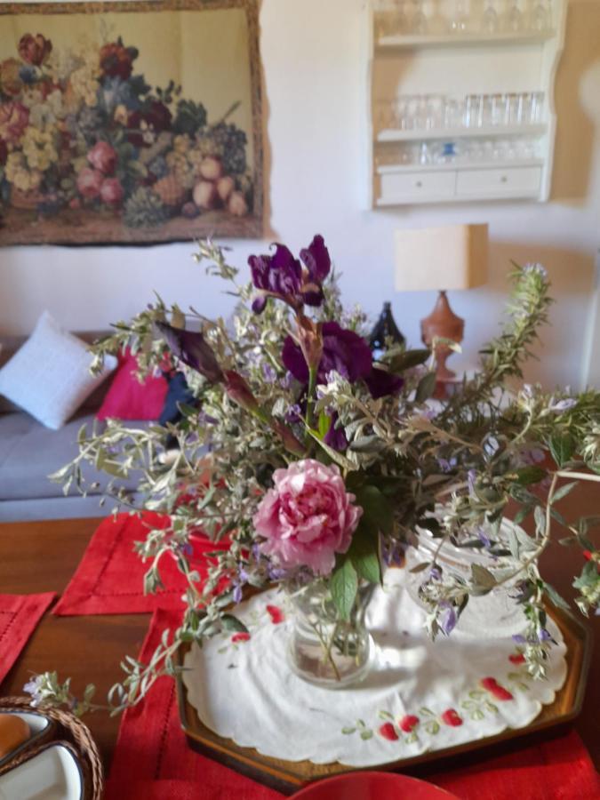 Ferienwohnung La Casa Di Paride Greve in Chianti Exterior foto